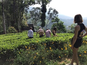 Jardín