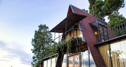 The Backyard Blangoda