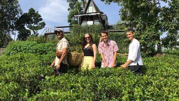 A group of people standing in a lush green field with a house in the background.