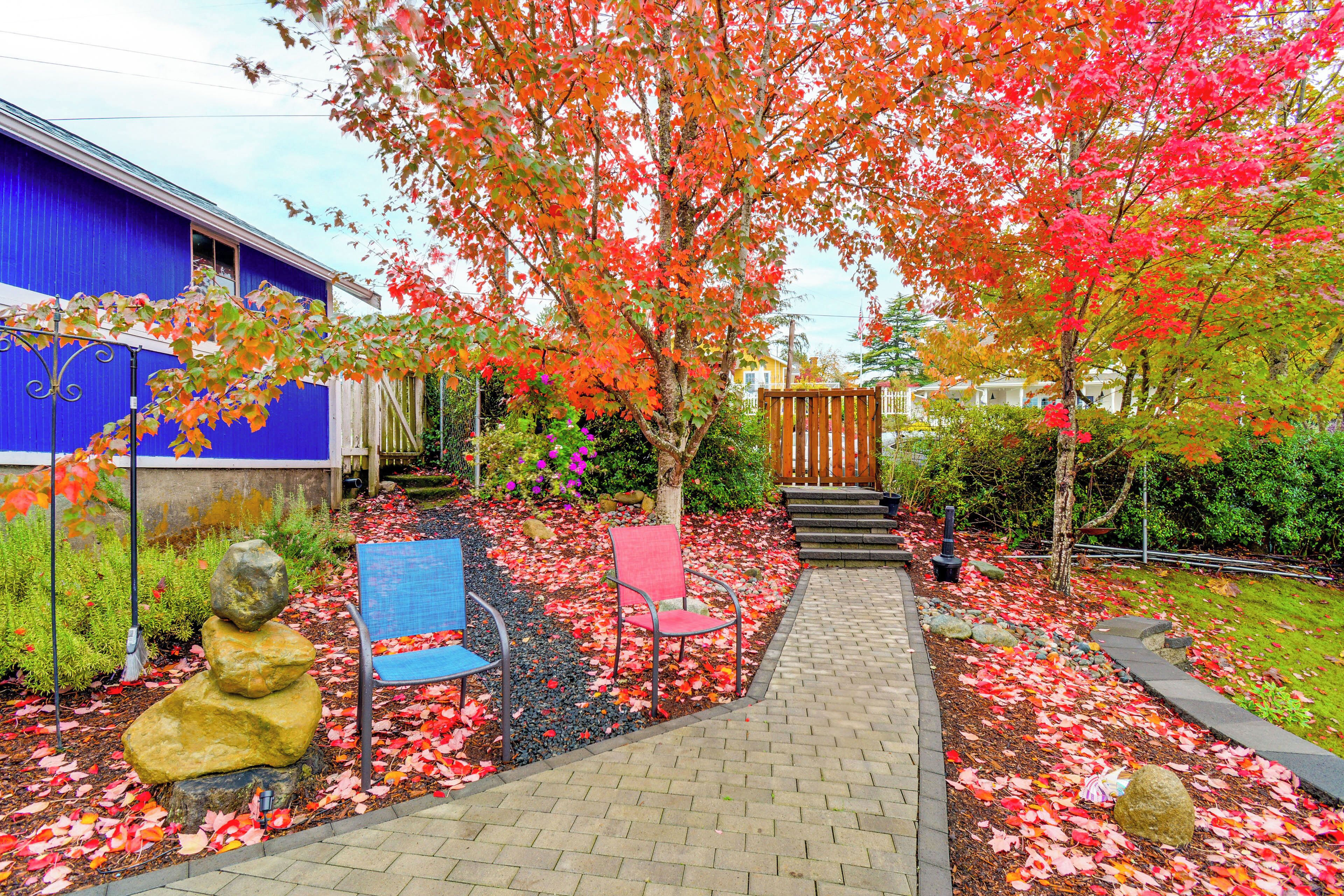 Apartment (0 Bedroom) | Interior