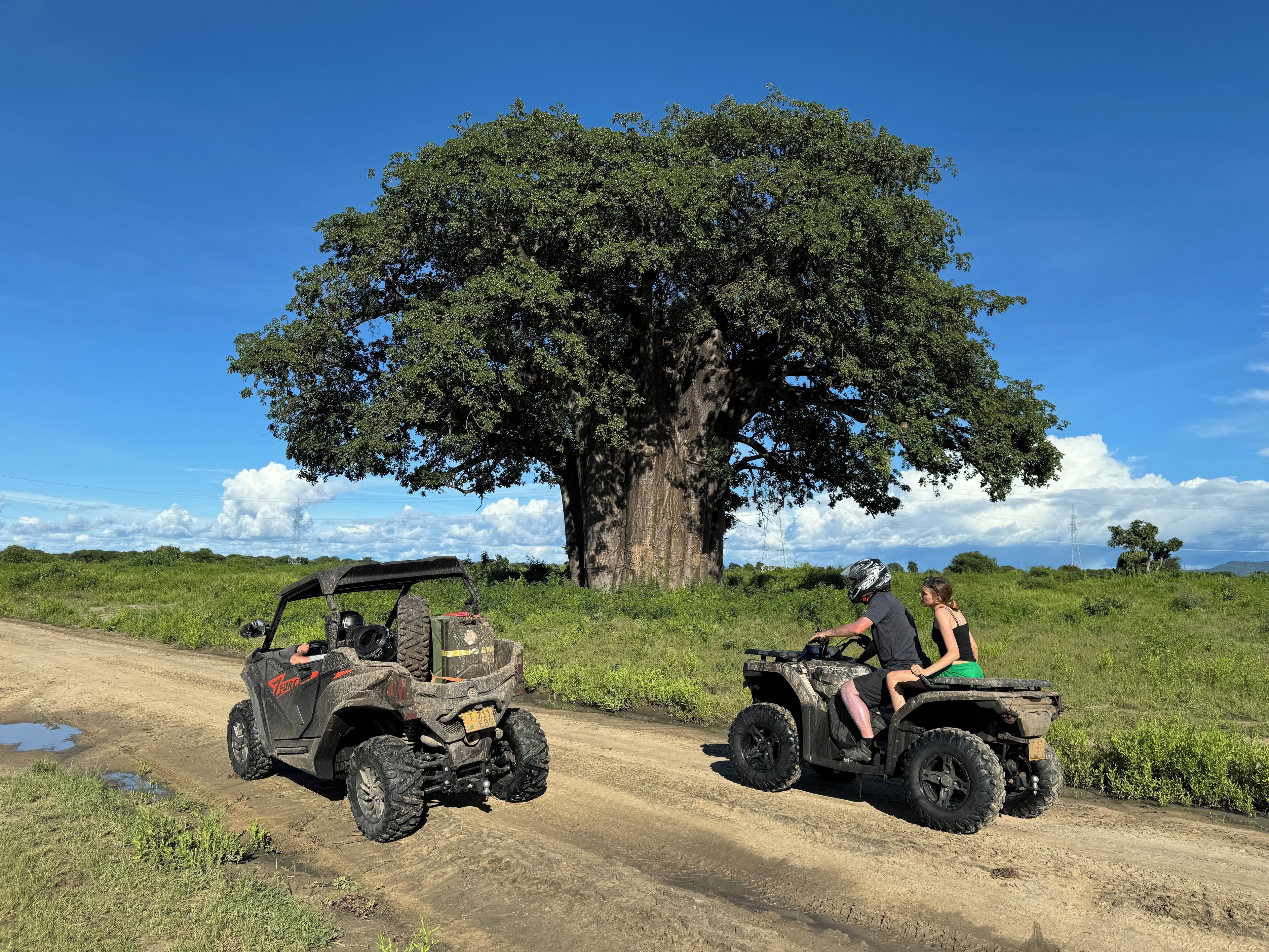 Deux véhicules tout-terrain sur un chemin de terre, avec un grand arbre en arrière-plan.