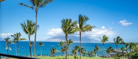 Condo, 1 Bedroom | Property grounds