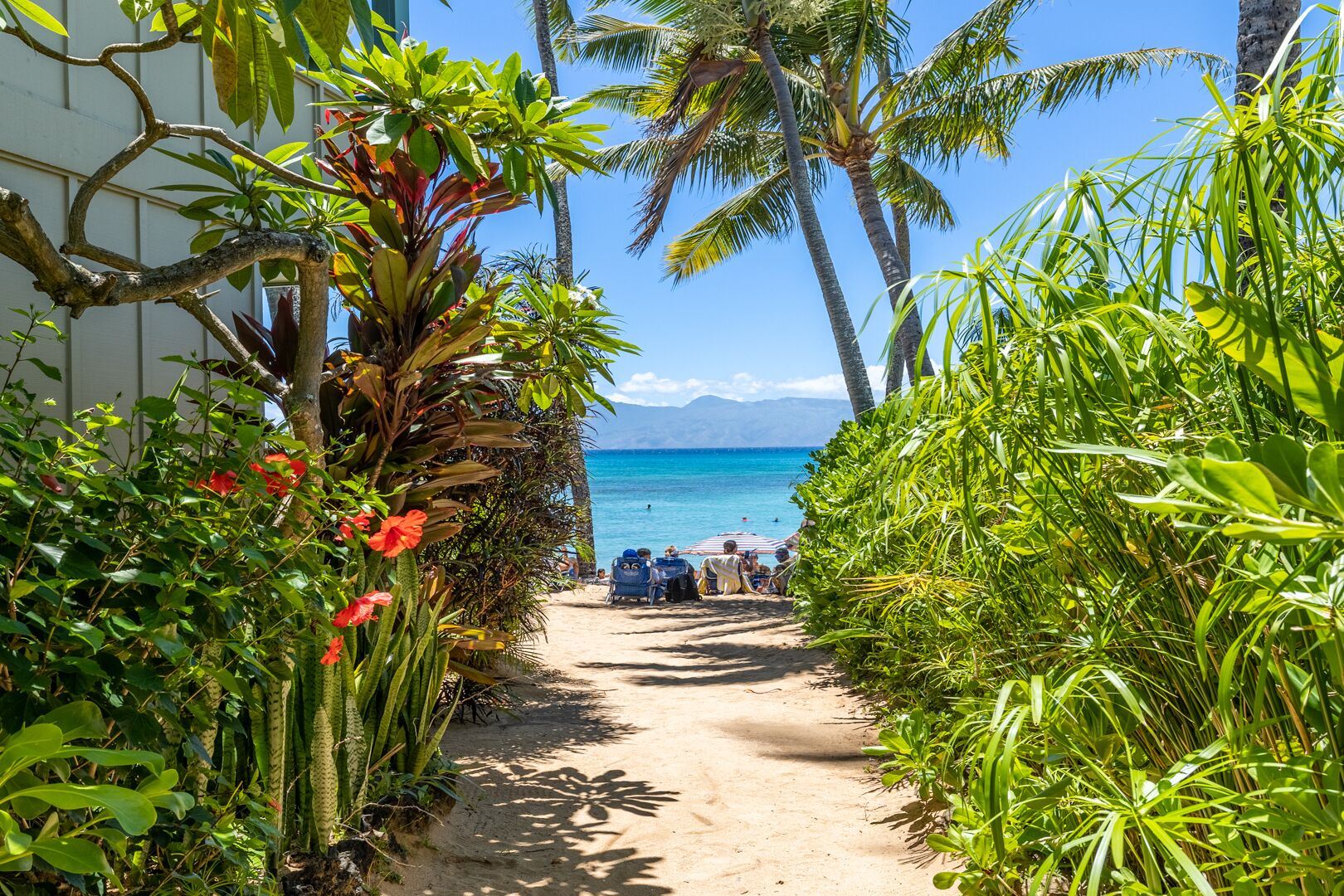 On the beach, sun-loungers, beach towels