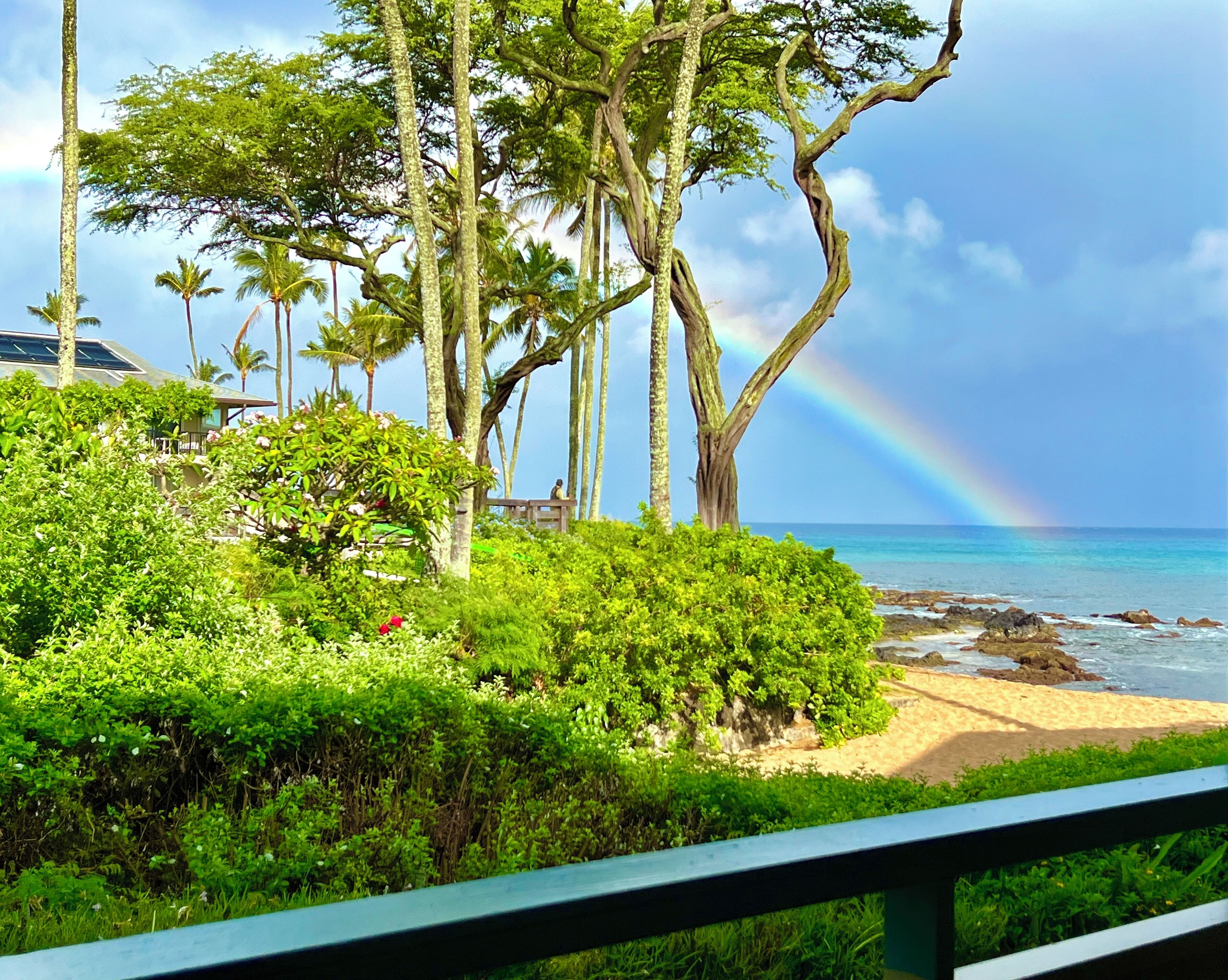 Rainbows love to show up in Napili. Photo taken from the condo’s lanai.