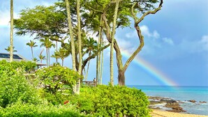 Una playa con exuberante vegetación, un camino de madera y vista al océano con un arcoíris.