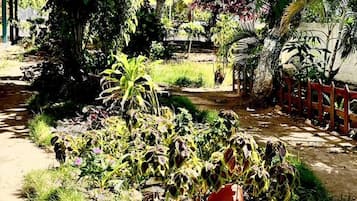 Apartment | Property grounds
