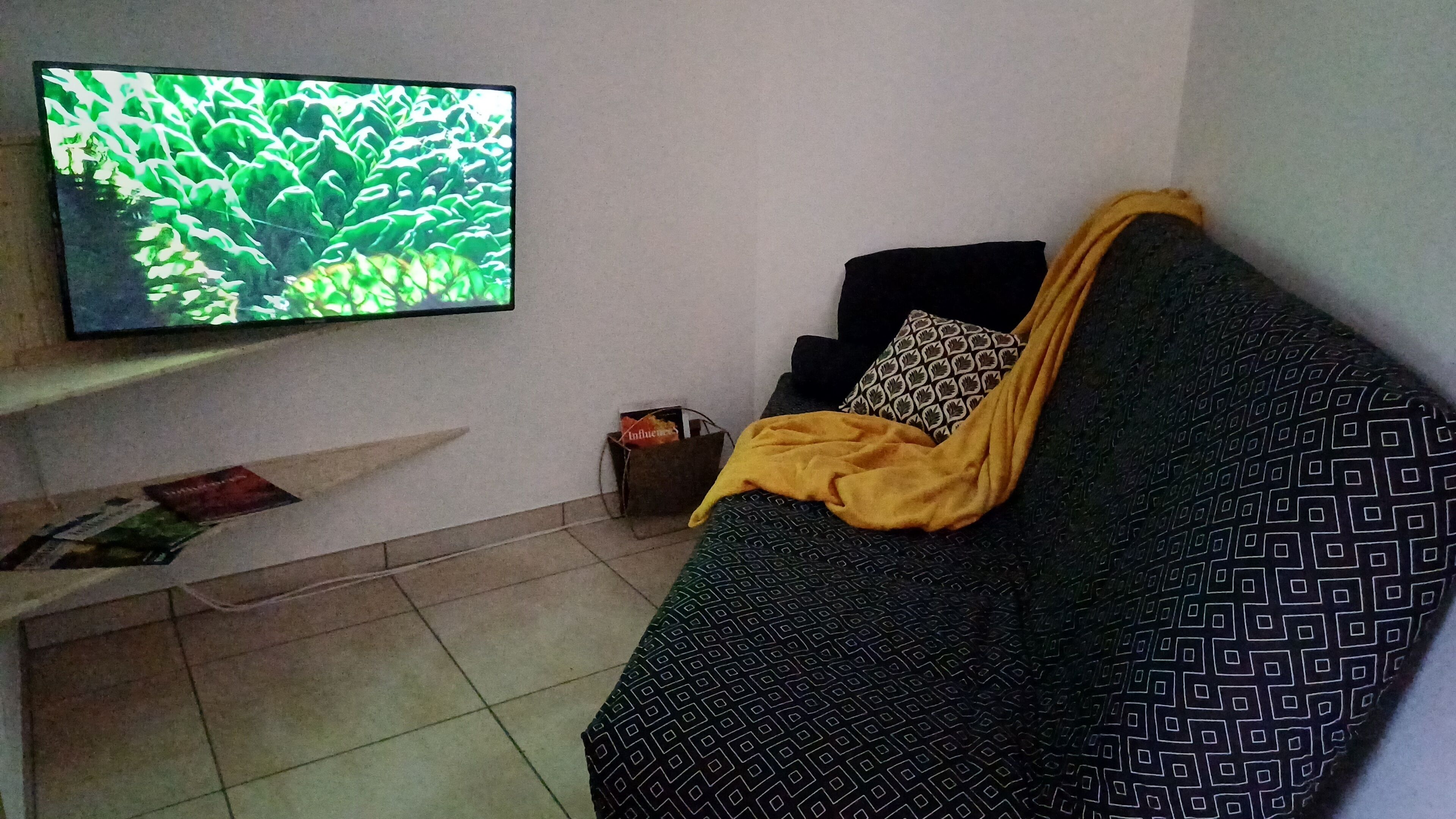 A living room with a sofa, a TV mounted on the wall, and a magazine on the floor.