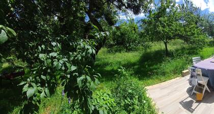 Im Weich Obstgarten von Doubs *****