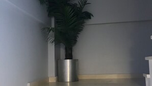 外觀