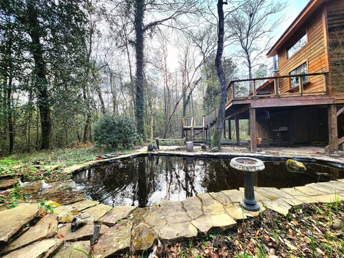 Bayou Bromeliad at Lochloosa