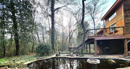 Bayou Bromeliad at Lochloosa