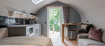 Long Ashes - Pip- sleeps 2