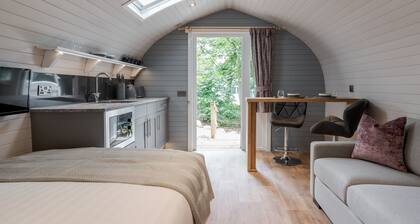 Long Ashes - Pip- sleeps 2