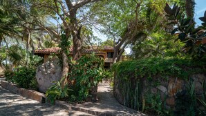 A stone pathway leading to a house with a tiled roof, surrounded by lush greenery and trees. - Casa  Don Juan (Compostela)
