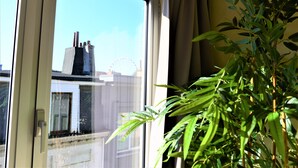 Vista a través de una ventana, con una planta en primer plano y un edificio con noria al fondo.