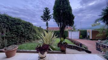House | Property grounds
