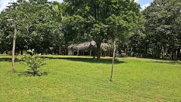 Área da propriedade