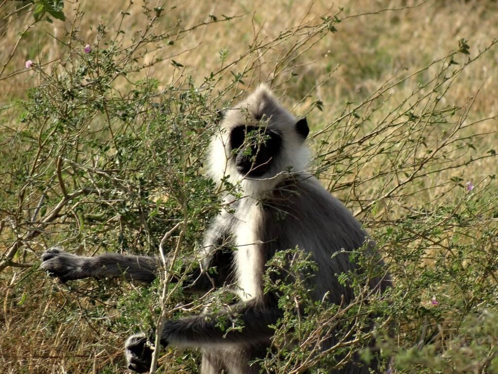 Bidet, serviettes fournies, savon, shampoing