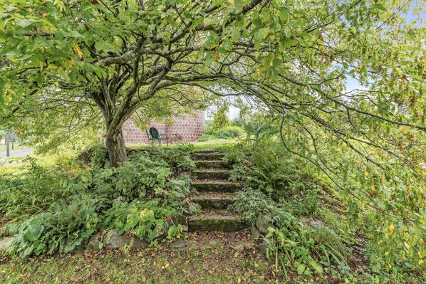 A stone staircase surrounded by lush greenery and a tree. - 18th century 3-bedroom renovated farmhouse in peaceful Whately with WiFi, AC (Whately)