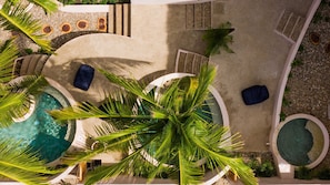 Relax by the pool surrounded by lush palm trees and tropical plants.