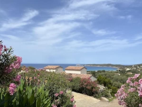 A coastal landscape with houses and a clear view of the sea.