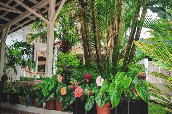 Garden view