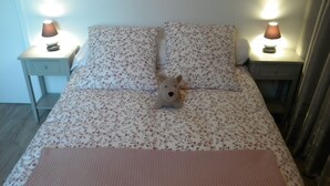 1 habitación, escritorio, tabla de planchar con plancha y ropa de cama 