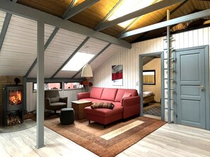 Televisio, takka, kirjoja, stereot