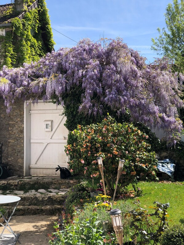 Overnatningsstedets område