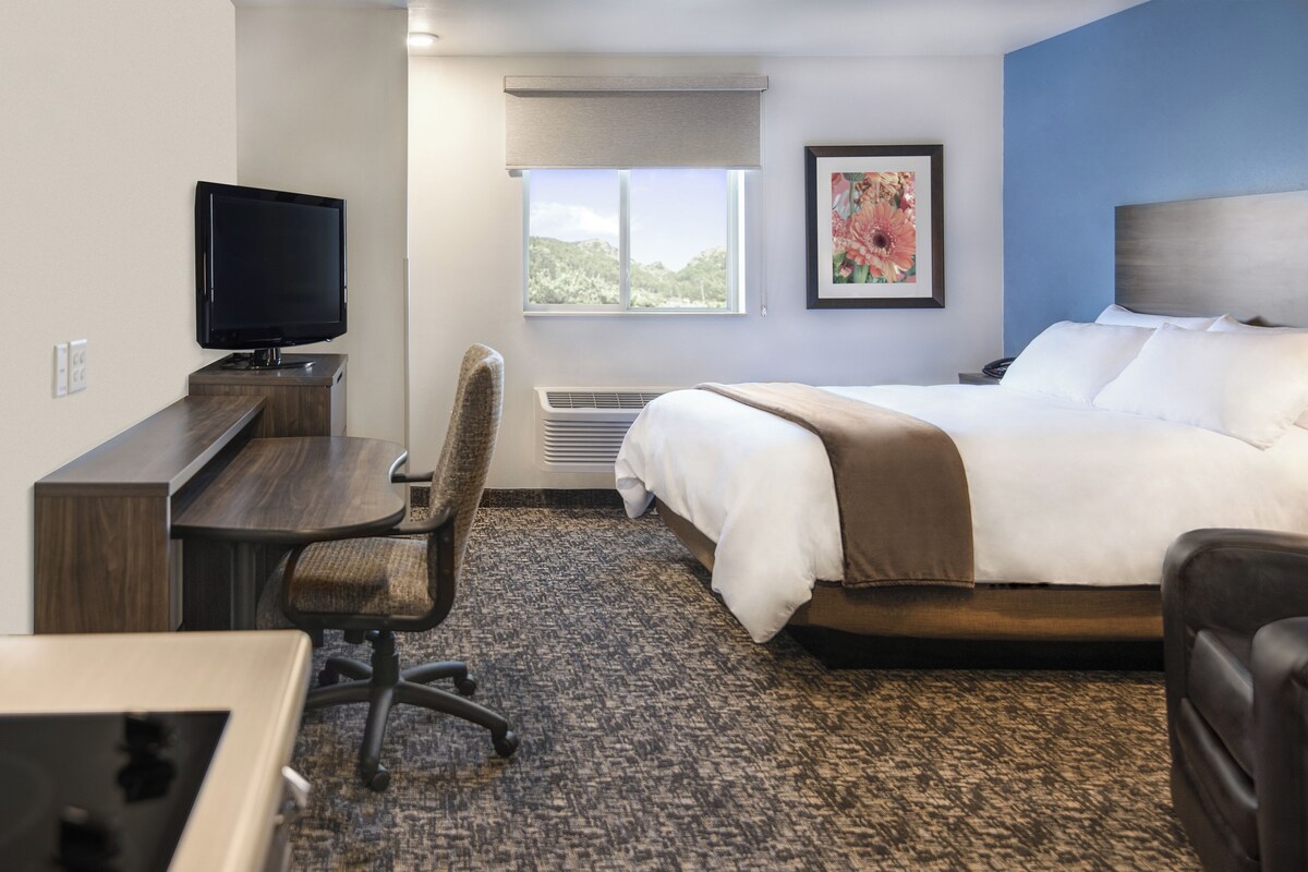 Habitación de hotel con cama, escritorio, silla, televisor y ventana con vista a follaje.