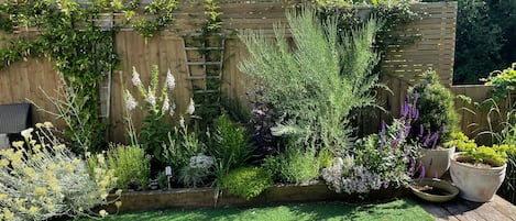 Terrain de lâhĂ©bergement