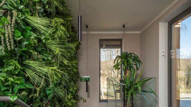 En moderne trappe med træbeklædning, der fører op til et rum med en glasdør og en potteplante.