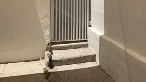 A narrow alleyway with a metal gate, a small window, and a concrete step leading to a door. - Departamento Cerca de Mall y D1.facturamos! (Chihuahua)