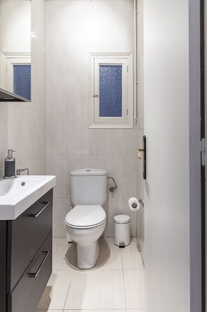 Hair dryer, bidet, towels