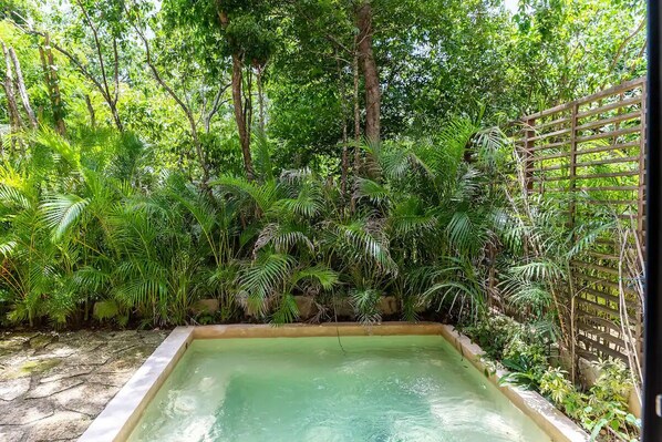 Outdoor pool - Bai-Ha Luxury 103 (Tulum)