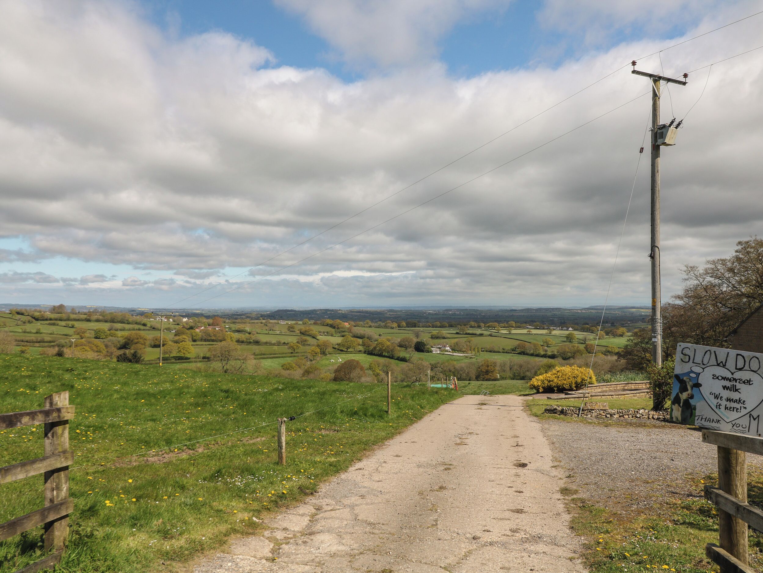 Une route de campagne avec un panneau indiquant « RALENTISSEZ » et une illustration de vache.
