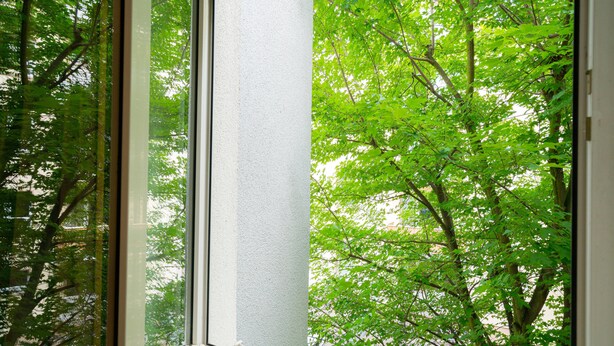 A window with a view of green trees. - Vienna Residence, Frankfurt - Schweizer Platz #6067 (Frankfurt)