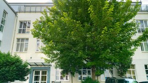 Un bâtiment avec un grand arbre devant, une voiture garée et un petit panneau posé sur le sol.