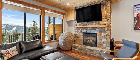 Smart TV, chimenea y reproductor de DVD