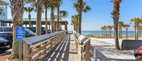 Walk along the beach path, flanked by palm trees and offering a clear ocean view.