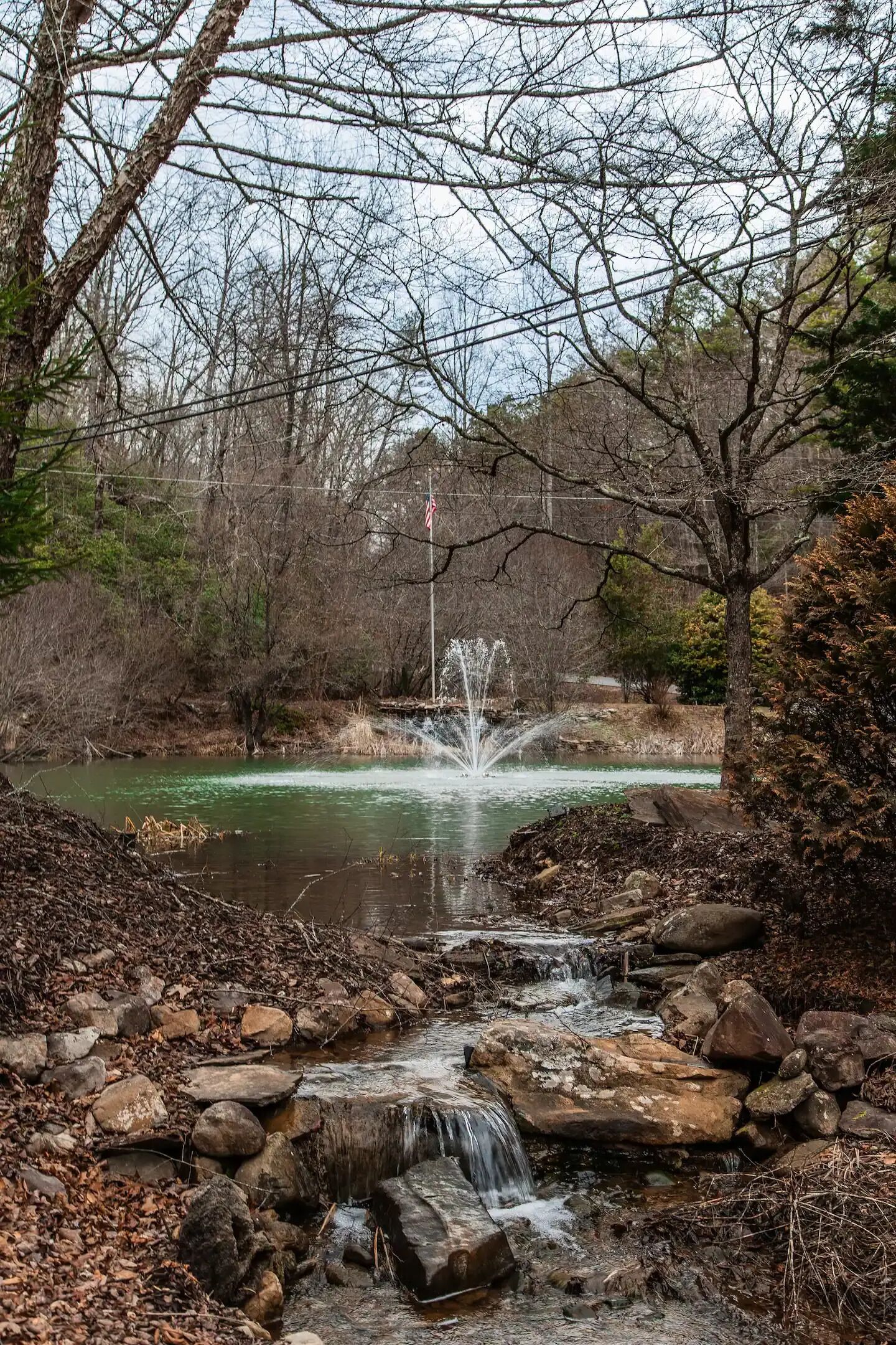 A natural landscape with a small waterfall, a pond, and surrounding trees.