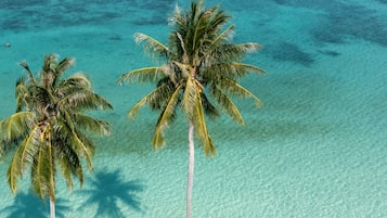 Beach nearby, white sand