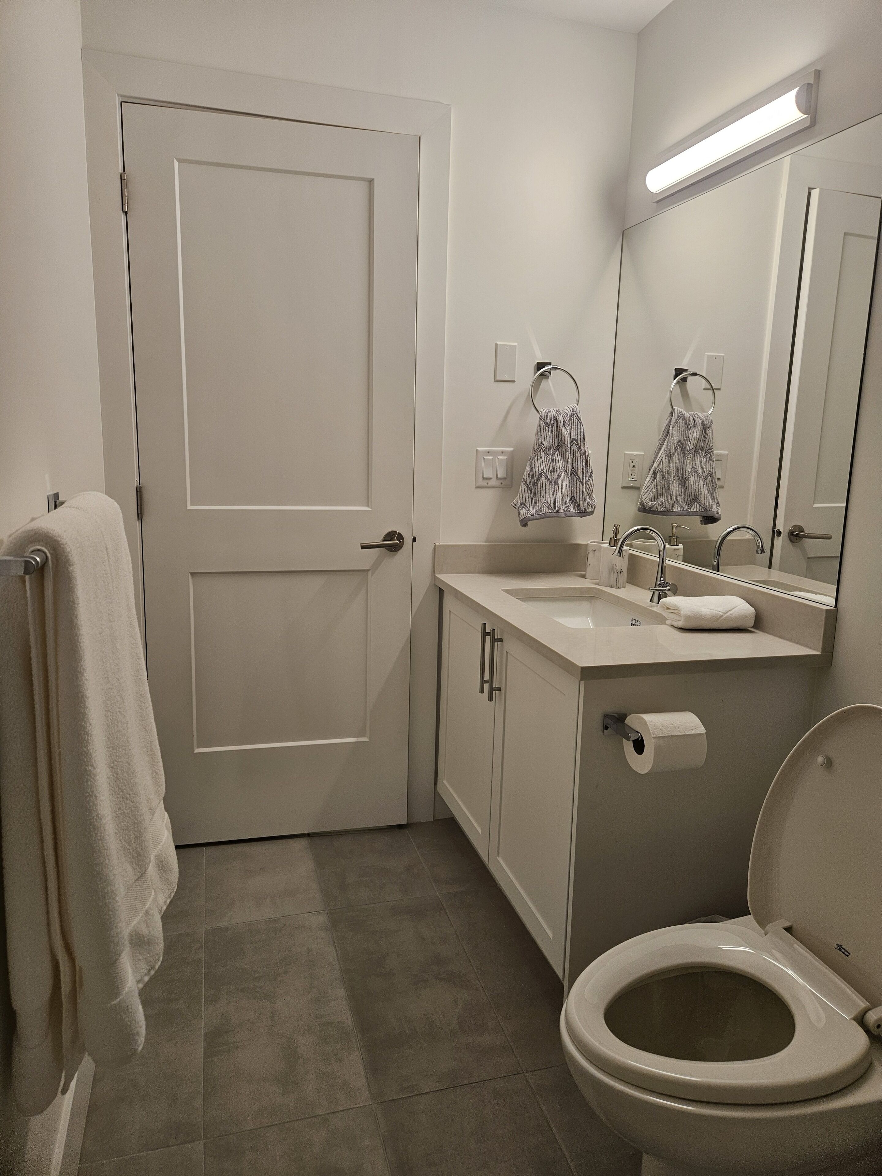 Hair dryer, towels, soap, toilet paper