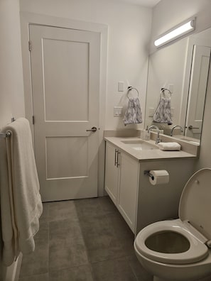 Sèche-cheveux, serviettes fournies, savon, papier toilette