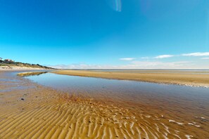 Beach - Light-filled home steps from Rail Trail - near pond, bay & ocean beaches (Eastham)