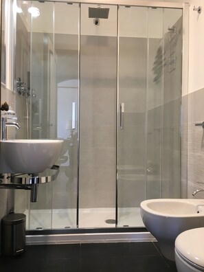 Regadera, secadora de cabello, bidet, toallas