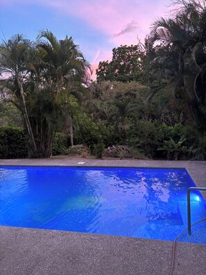 A swimming pool surrounded by lush greenery and trees.
