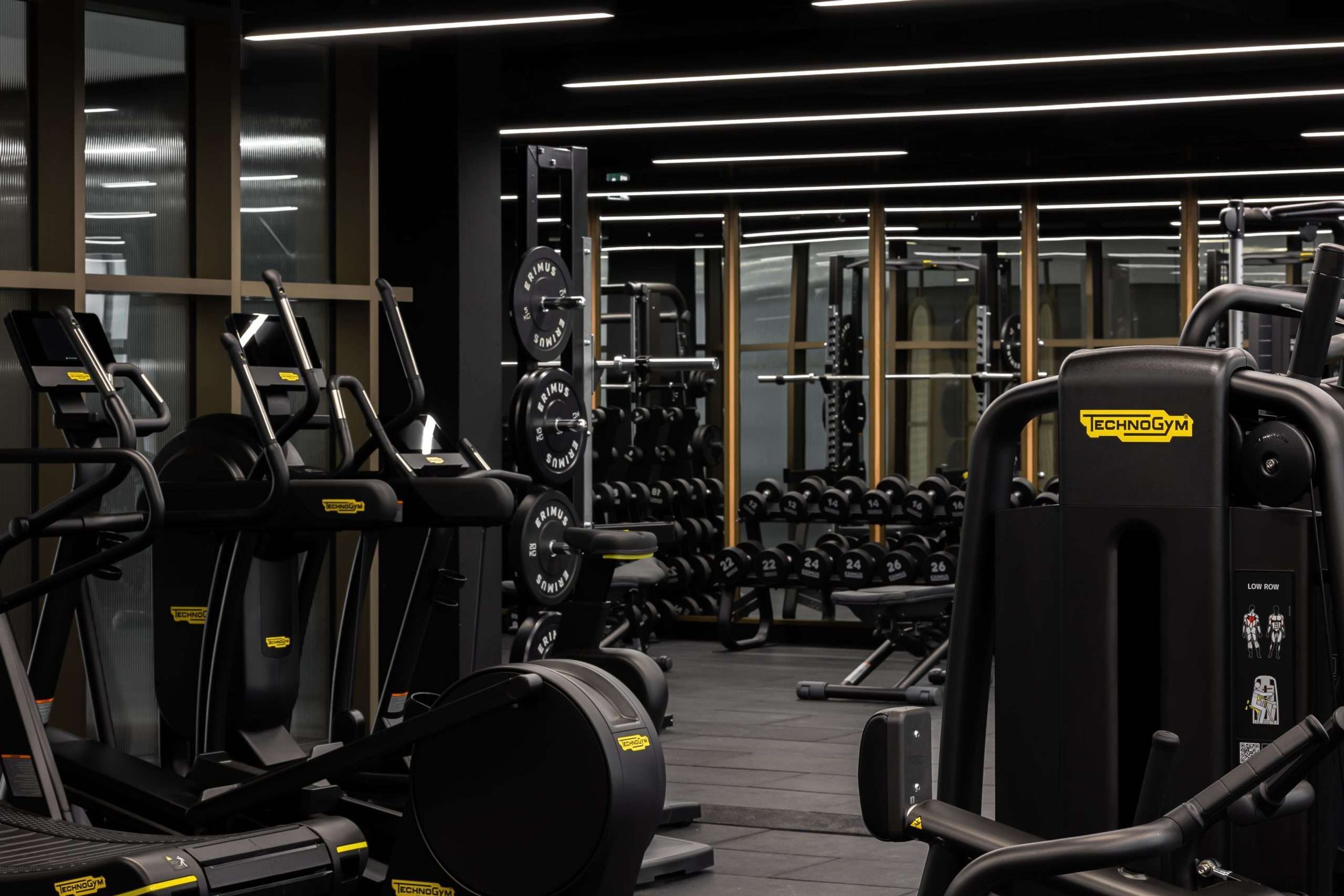 A gym with treadmills, weight machines, and free weights.