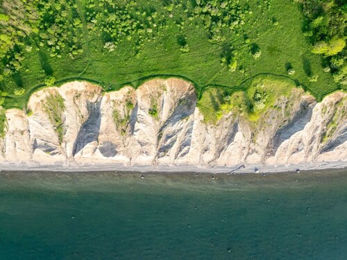 A+ Country Getaway | Rooftop Deck | Pet Friendly