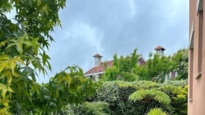 A well-maintained garden with a concrete pathway leading to a building. - Excepcional Chalet en Perbes (Perbes (San Pedro))